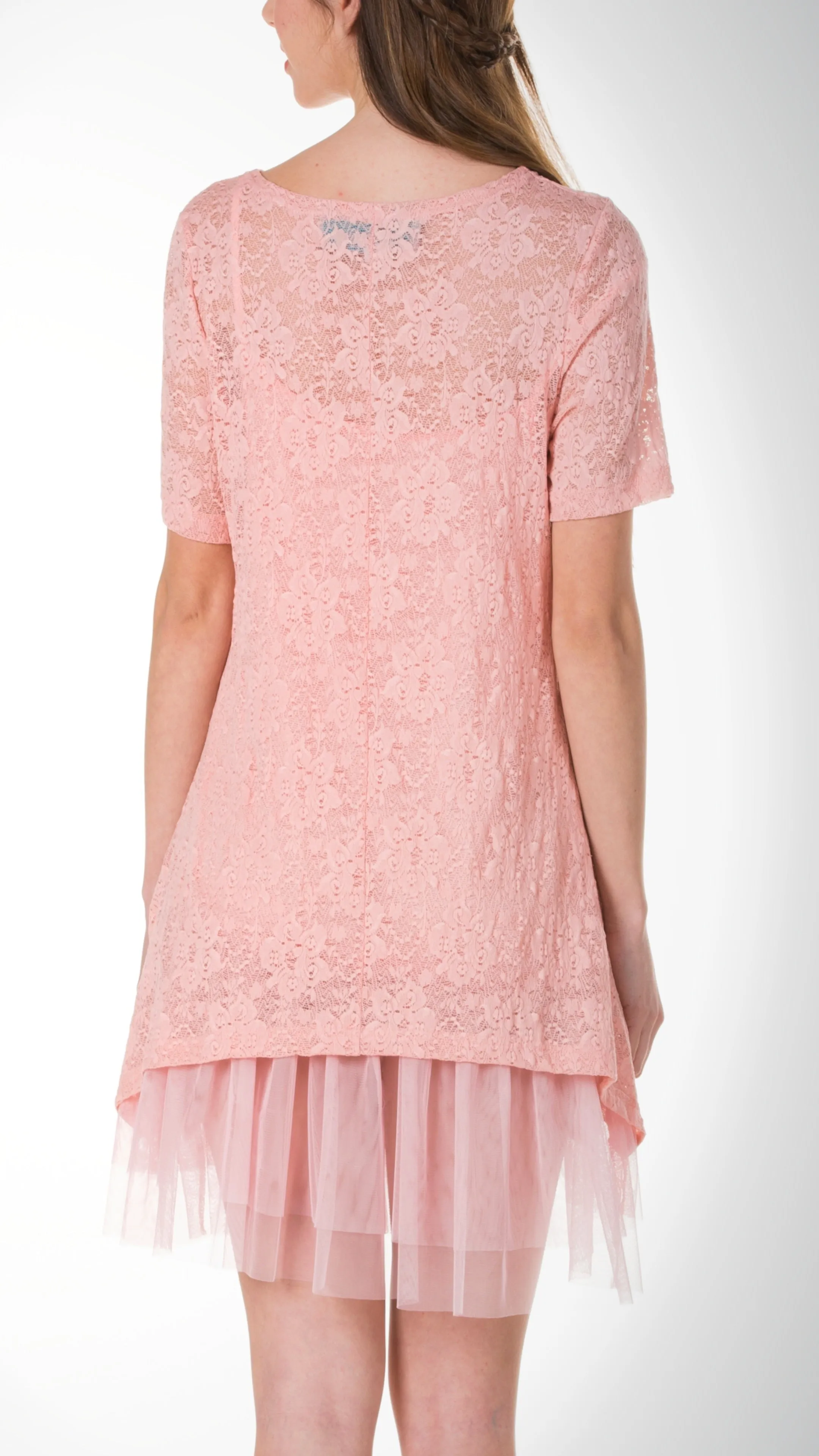 Lace Short Sleeve Dress with Mesh Slip
