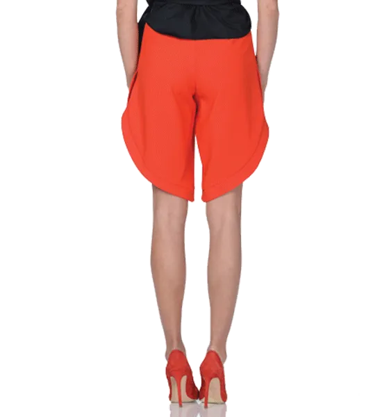 Tulip Gaucho